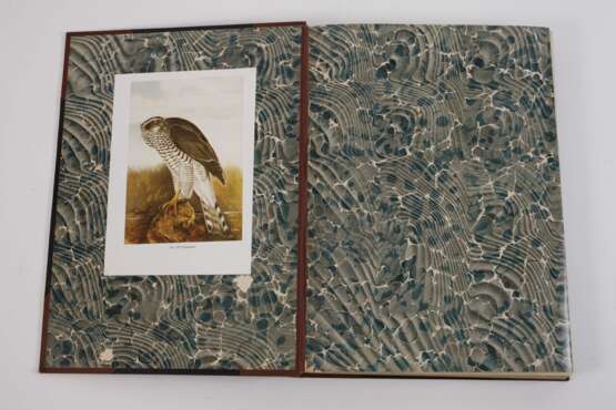 Naumann, Naturgeschichte der Vögel Mitteleuropas - Foto 5