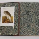 Naumann, Naturgeschichte der Vögel Mitteleuropas - Foto 5