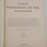 Naumann, Naturgeschichte der Vögel Mitteleuropas - Foto 6