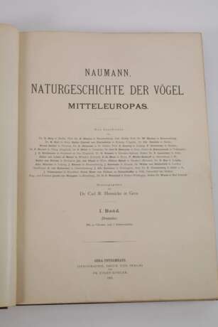 Naumann, Naturgeschichte der Vögel Mitteleuropas - Foto 6