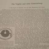 Naumann, Naturgeschichte der Vögel Mitteleuropas - Foto 1