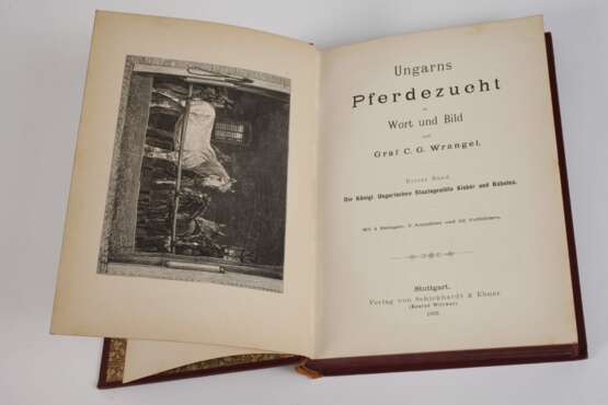 Ungarns Pferdezucht in Wort und Bild - Foto 2