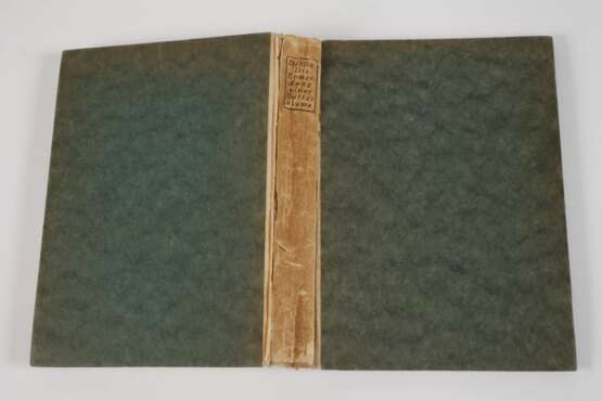 Alfred Döblin, Die Ermordung einer Butterblume - фото 2