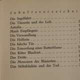 Alfred Döblin, Die Ermordung einer Butterblume - фото 4