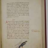 Das Tierbuch des Petrus Candidus - photo 5