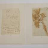 Leonardo Da Vinci Zeichnungen - фото 4