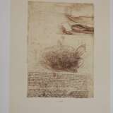Leonardo Da Vinci Zeichnungen - фото 5