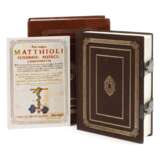 Matthioli, Senensis Medici Compendium - фото 1