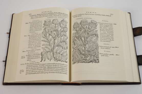 Matthioli, Senensis Medici Compendium - фото 3 Matthioli, Senensis Medici Compendium - фото 3