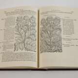 Matthioli, Senensis Medici Compendium - фото 3