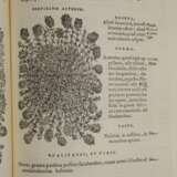 Matthioli, Senensis Medici Compendium - фото 4