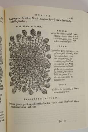 Matthioli, Senensis Medici Compendium - фото 4 Matthioli, Senensis Medici Compendium - фото 4