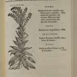 Matthioli, Senensis Medici Compendium - фото 5