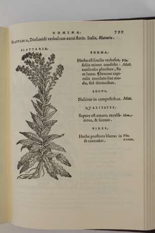 Matthioli, Senensis Medici Compendium - фото 5 Matthioli, Senensis Medici Compendium - фото 5