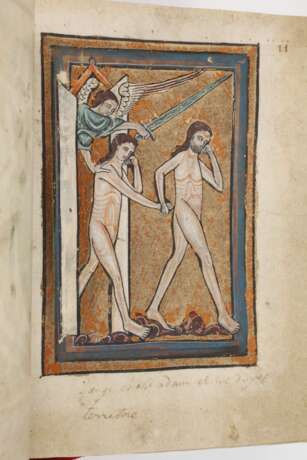 Die Oxforder Bilderbibel - Foto 5 Die Oxforder Bilderbibel - Foto 5