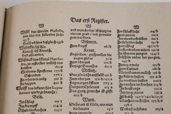 Artzney Buch - photo 4 Artzney Buch - photo 4