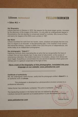 Lili Roze, Foto Eden - Foto 4 Lili Roze, Foto Eden - Foto 4