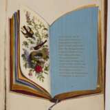 Andenkenalbum Biedermeier - photo 4