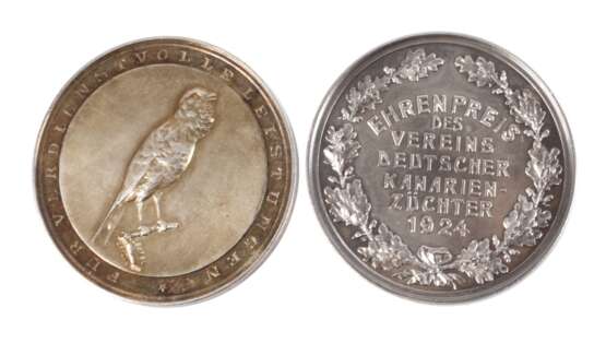 Zwei Silbermedaillen Kanarienzucht - photo 1