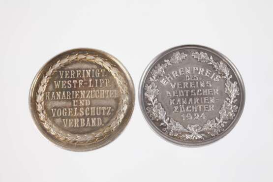 Zwei Silbermedaillen Kanarienzucht - photo 2
