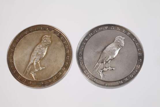 Zwei Silbermedaillen Kanarienzucht - photo 3