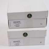 Wendt & Kühn Paar Engel mit Plauener Wappen - photo 6