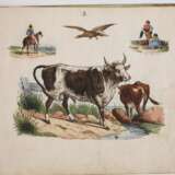 Reutlinger Kinderbuch Biedermeier - photo 5