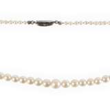 Feines Perlencollier - фото 1