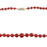 Langes Korallencollier - photo 1
