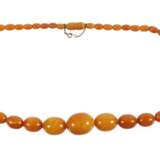 Bernsteincollier Butterscotch - фото 1