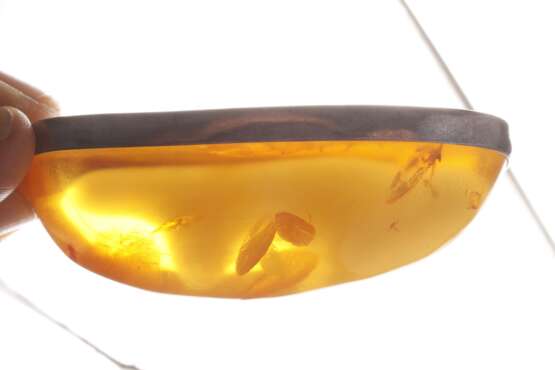 Großer Bernsteinanhänger an Kette - фото 4 Großer Bernsteinanhänger an Kette - фото 4