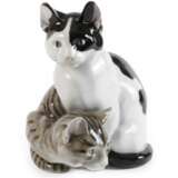 Heubach Lichte Katzengruppe - Foto 1