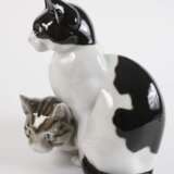 Heubach Lichte Katzengruppe - Foto 2