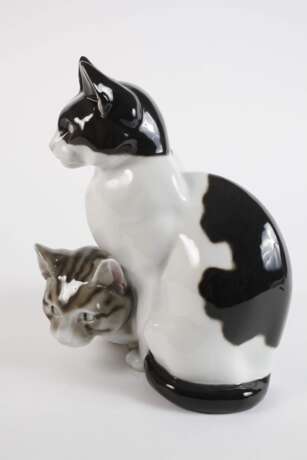 Heubach Lichte Katzengruppe - Foto 2