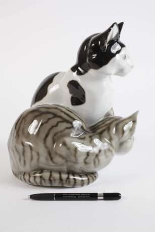 Heubach Lichte Katzengruppe - Foto 3