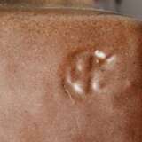 Affenfamilie - photo 7