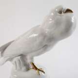 Heinrich & Co. Selb große Kropftaube Fritz Klee - photo 2