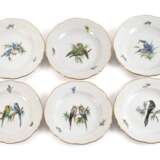 Meissen sechs Speiseteller Vogelmalerei - photo 1