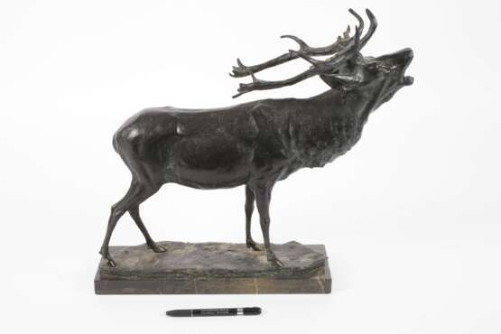 Else Fürst, Röhrender Hirsch - photo 1