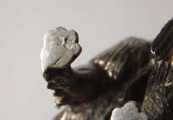 Silberminiatur Jagdhund Spanien - photo 4