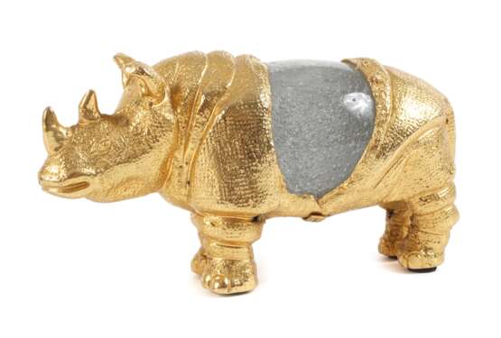 Gabriela Crespi, Nashorn - photo 1