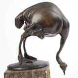 Alice Simonsohn, Straußenvogel - photo 2