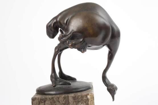 Alice Simonsohn, Straußenvogel - photo 2