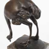 Alice Simonsohn, Straußenvogel - photo 3