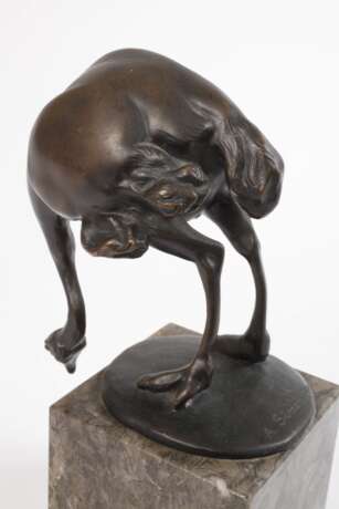 Alice Simonsohn, Straußenvogel - photo 3