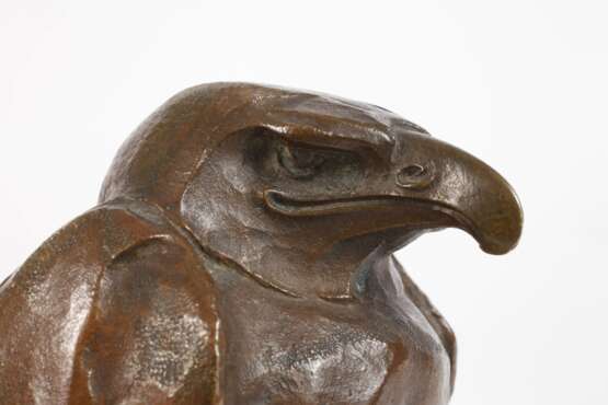 Sitzender Adler - photo 2 Sitzender Adler - photo 2