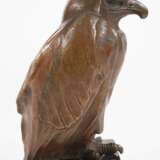 Sitzender Adler - photo 4