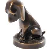 Roland Paris, Hundewelpe - photo 1