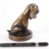 Roland Paris, Hundewelpe - photo 2