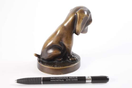 Roland Paris, Hundewelpe - photo 2 Roland Paris, Hundewelpe - photo 2